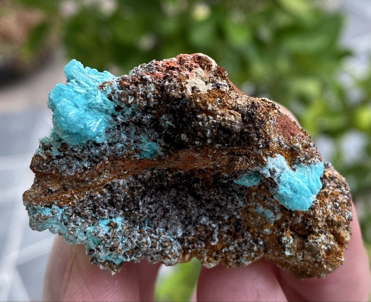 Mineralien & Heilsteine: Super Aurichalicit Mapimi Mexico  – Gebraucht aus Selzach von 321compac 1