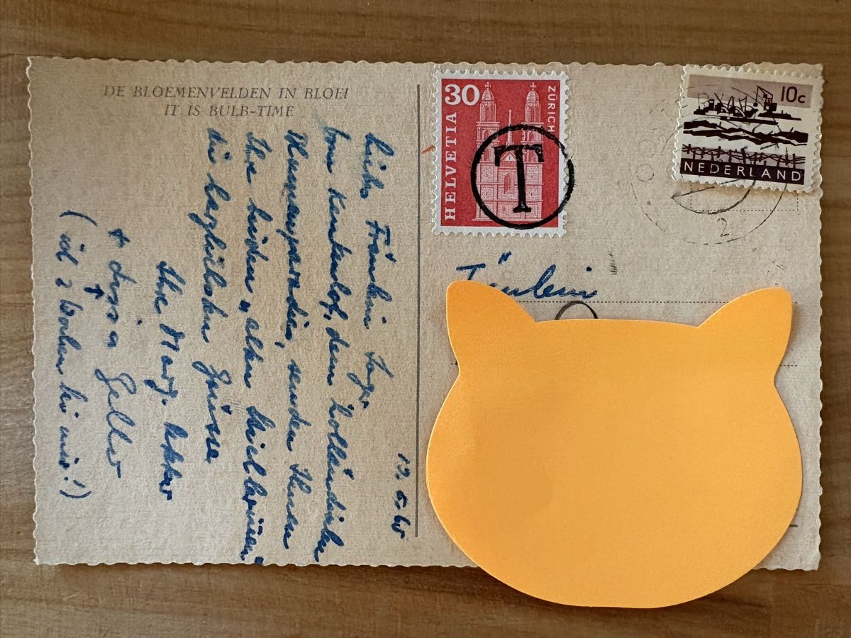Cartoline postali: AK von Tulpen in Holland – Usato da Rümlang venduto da Kartenpost1 1