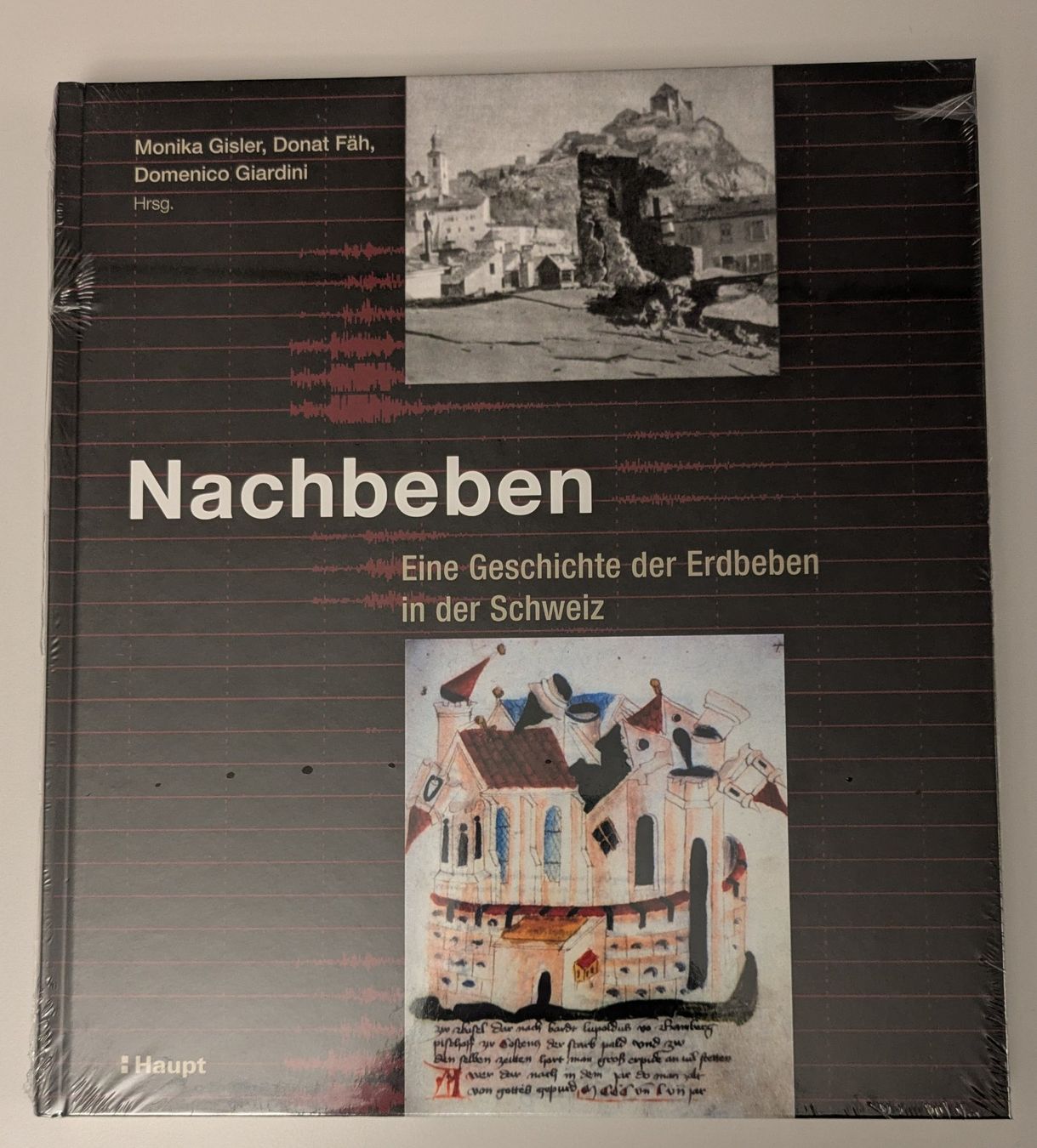 Libri: Nachbeben: Eine Geschichte der Erdbeben in der Schweiz – Nuovo e nell'imballaggio originale da Zürich venduto da ms993