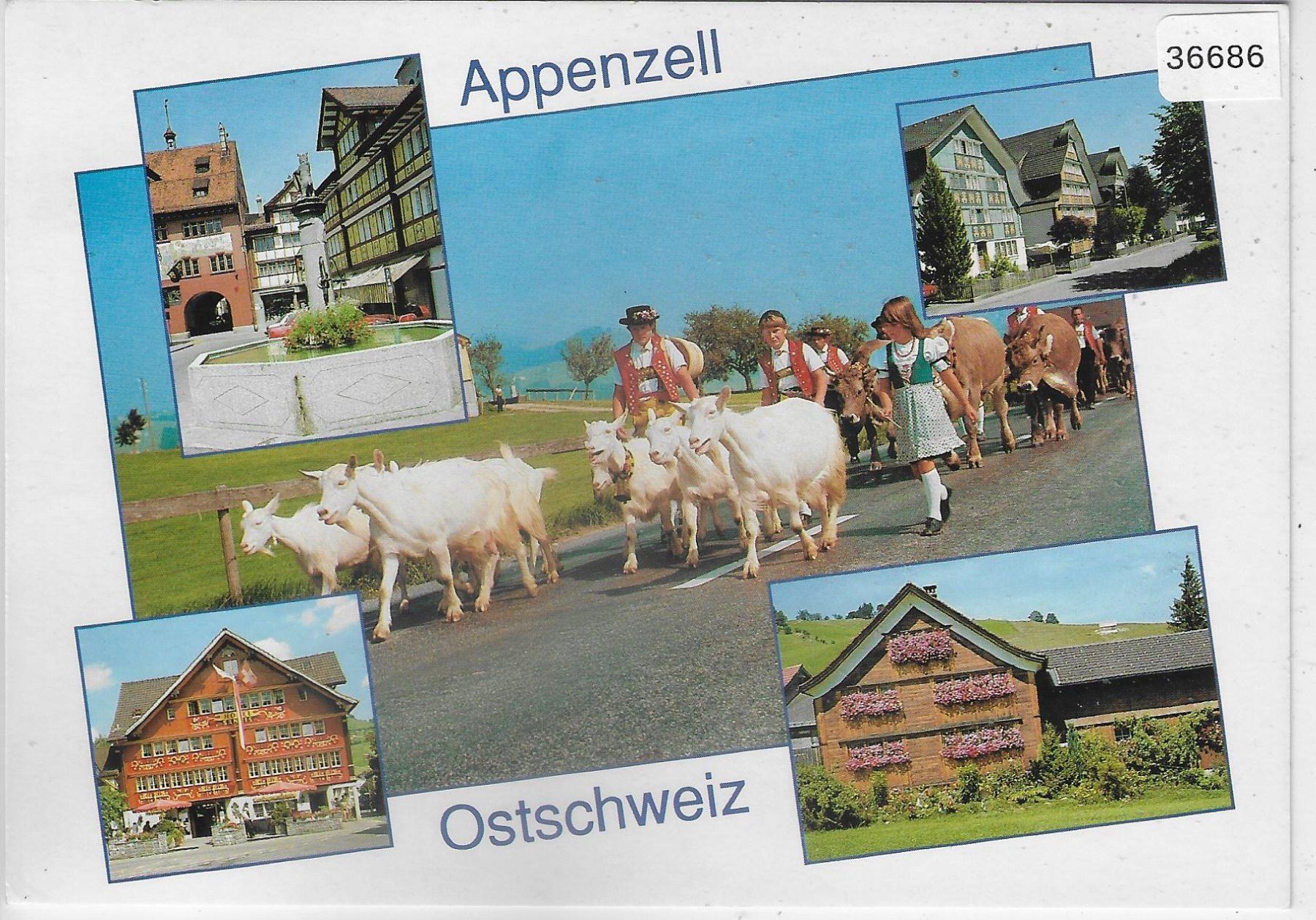 Cartoline postali: Appenzell - Multiview - Ziegen – Usato da Ettingen venduto da Kartenplanet
