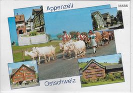 Appenzell - Multiview - Ziegen