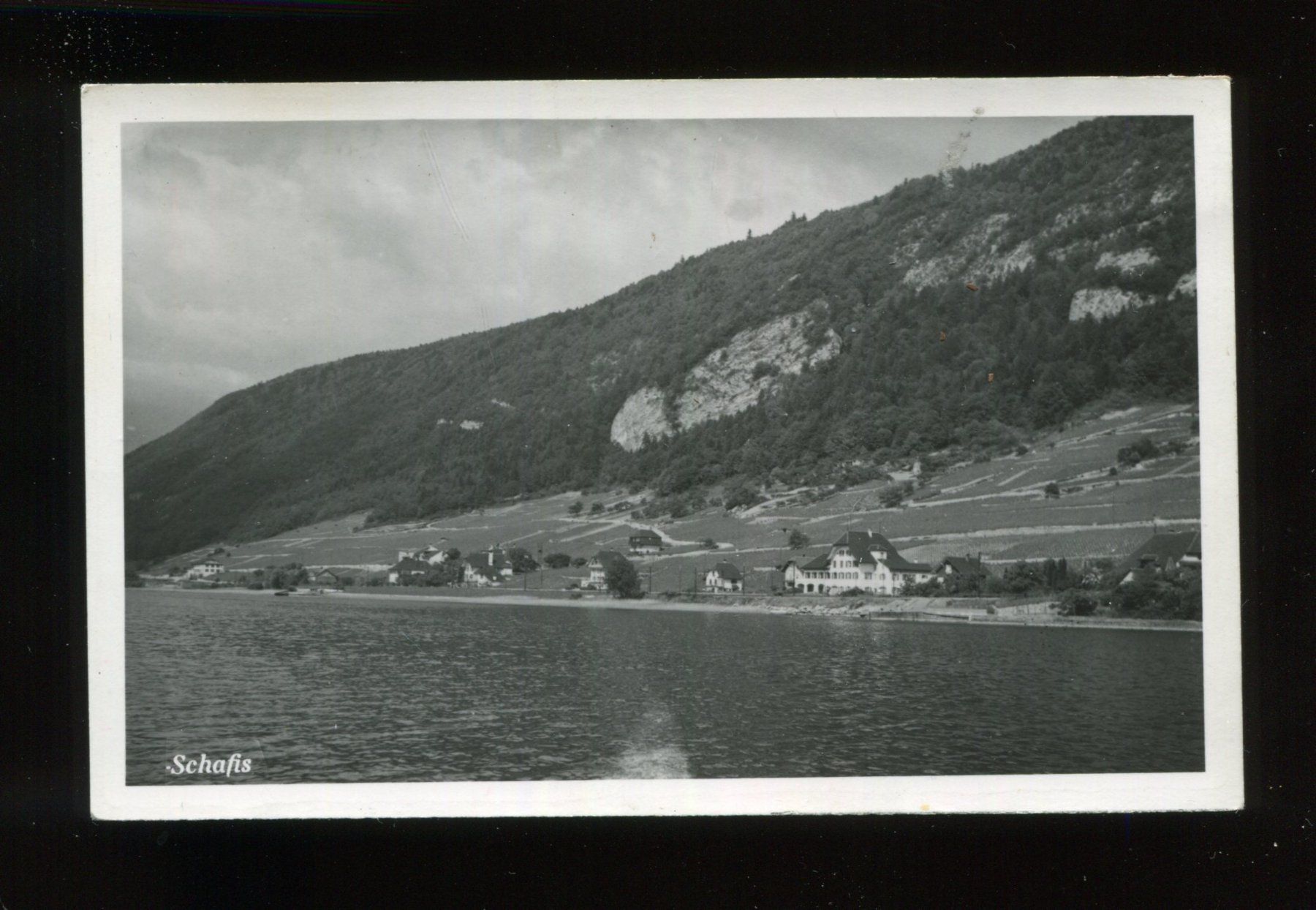 Cartoline postali: Schafis, La Neuveville – Usato da Aarau venduto da Elmaar41