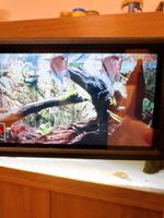 Sony Handycam DCR-SX45E – Komplett in OVP – Wie neu