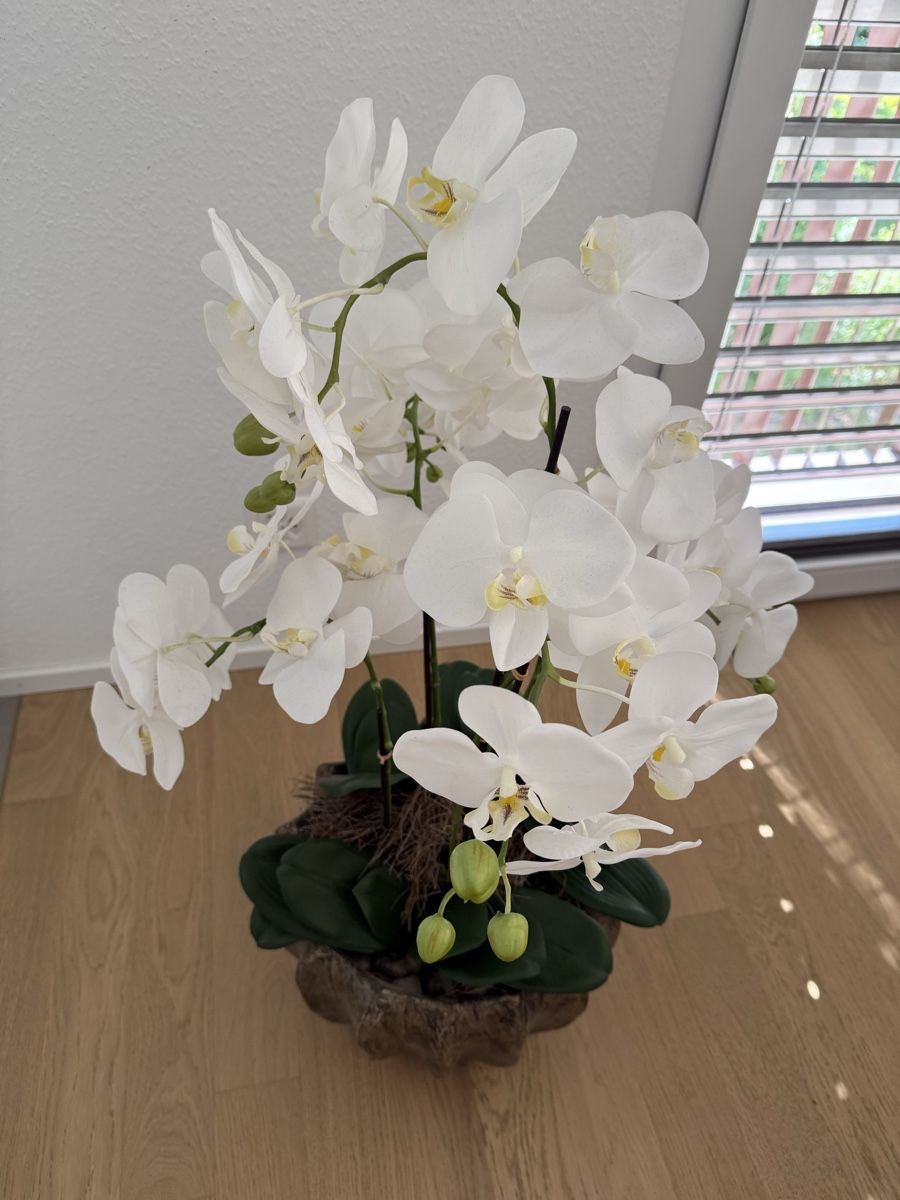 Tutte le decorazioni: Orchideen Gesteck – Usato da Dietlikon venduto da Moncler2010 1