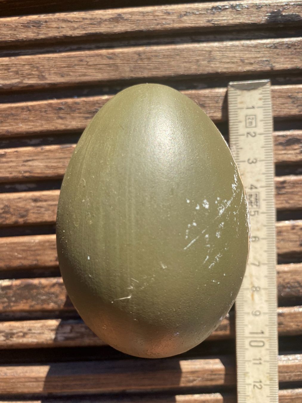Tutte le decorazioni: Grosses, handbemaltes Ei, 10cm – Usato da Gümligen venduto da Primeselection 1