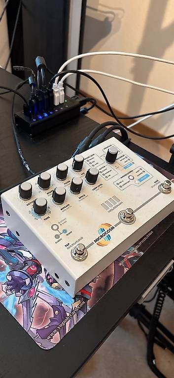Strumenti musicali: Hologram Electronics Microcosm – Usato da Winterthur venduto da Unmooglich