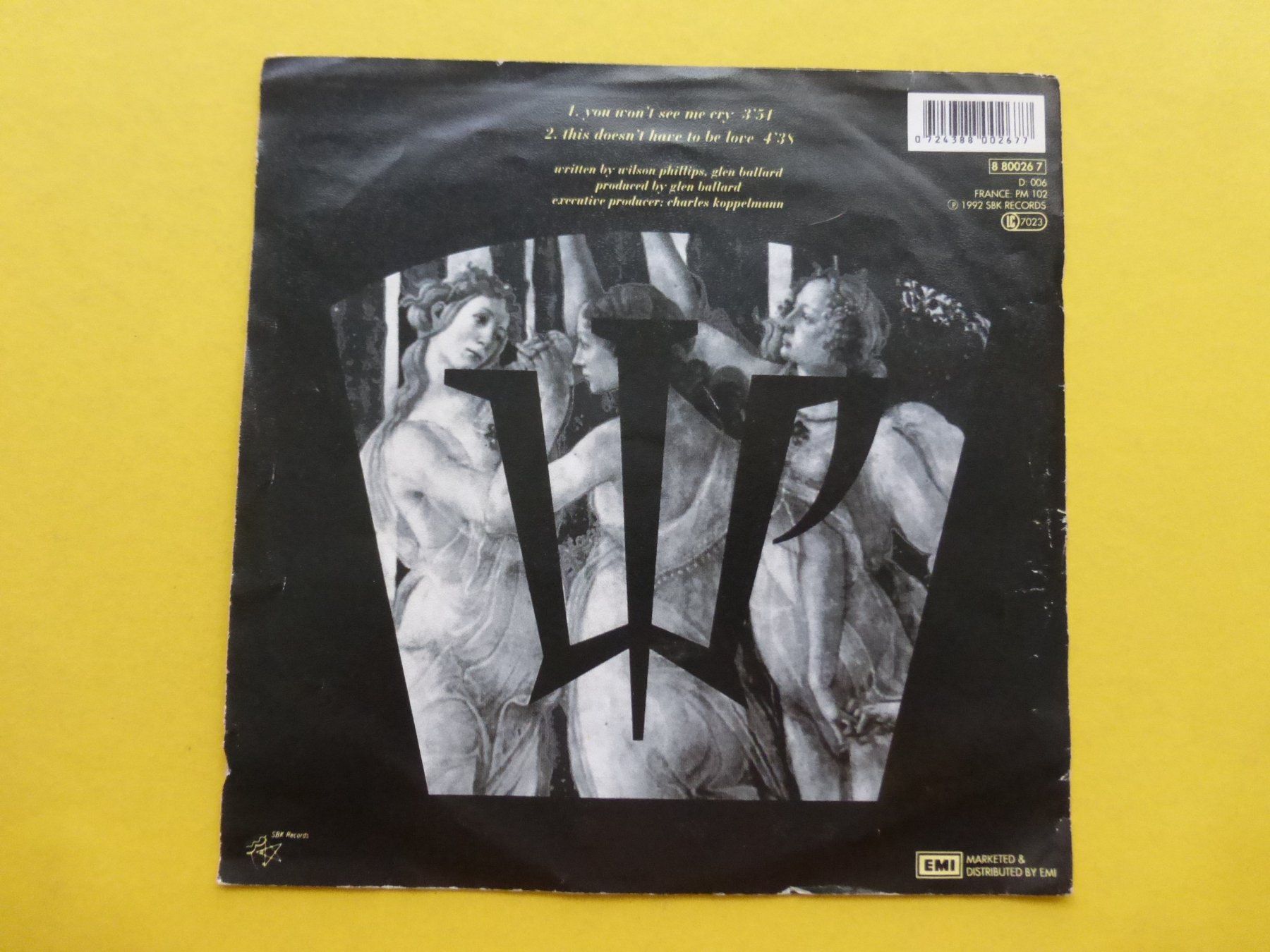 Dischi in vinile: Wilson Phillips – You Won't See Me Cry – Usato da Zürich venduto da Swiss57 1