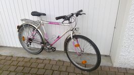 Bahnhofvelo KNOBEL - 26 Zoll - für 165/175er Leute