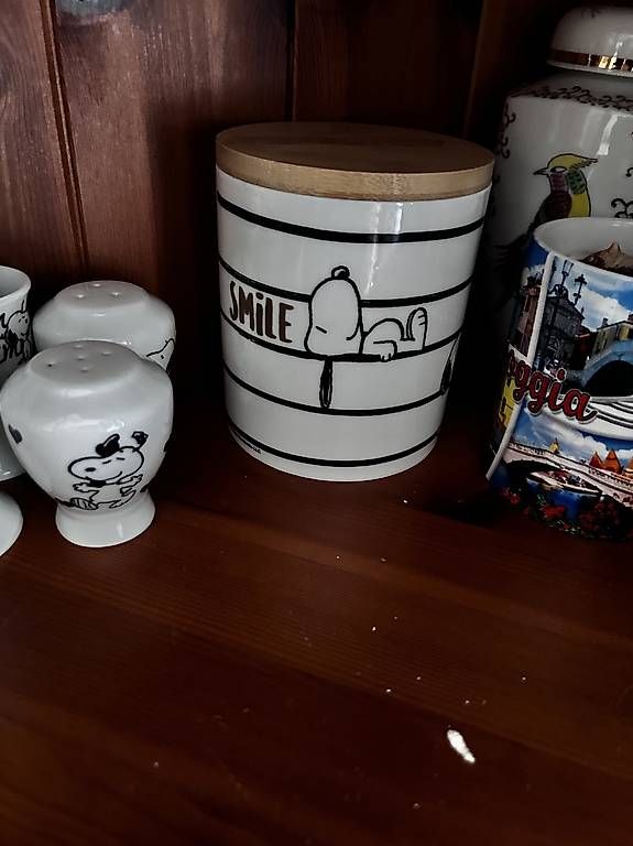 Behälter & Ähnliches: Keksdose mit aussteche von Snoopy/Peanuts – Neu und originalverpackt aus Bottenwil von Wikingerbraut 2
