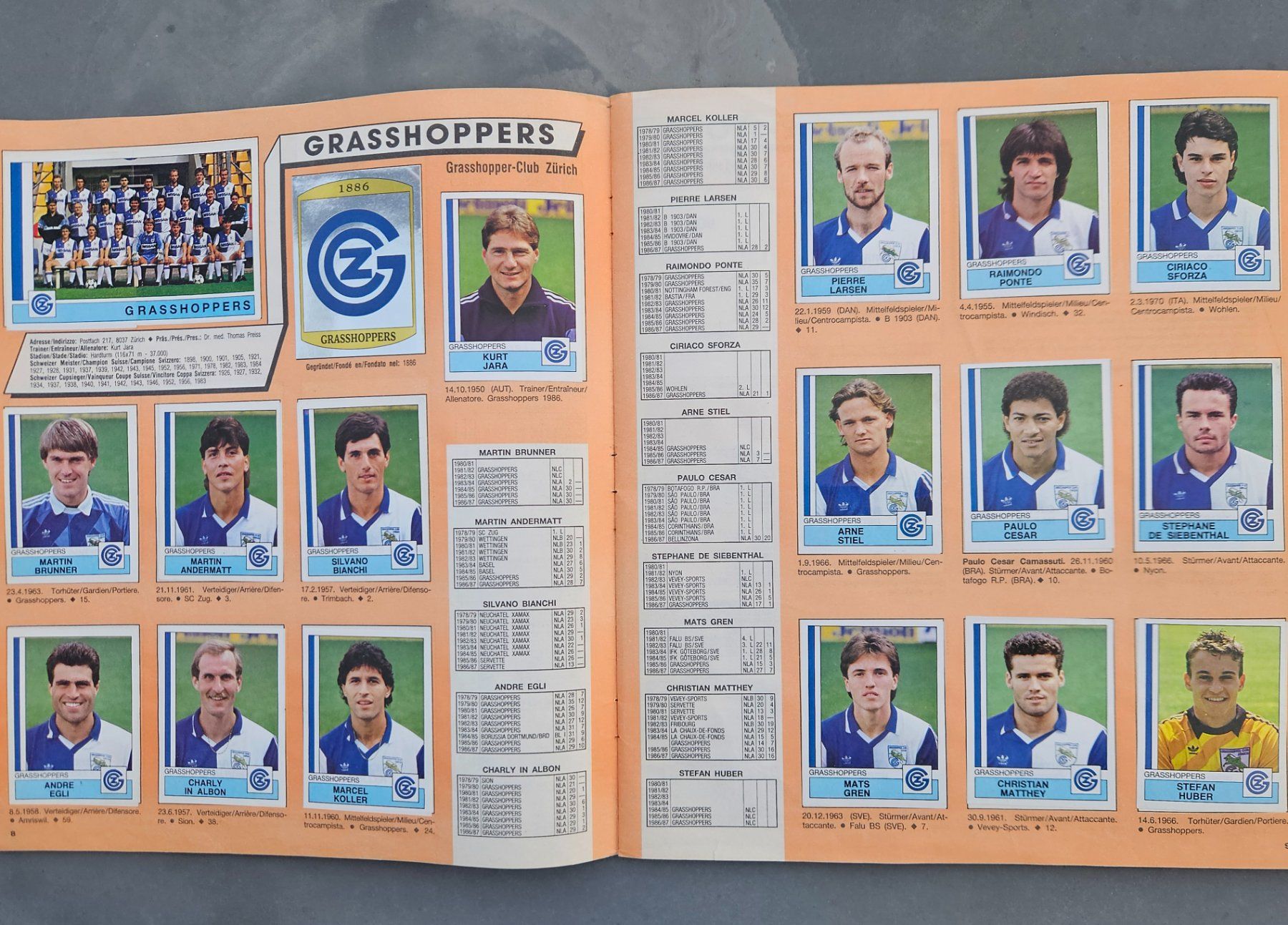 Panini Album: Panini Nationalliga A/B 1988 – Usato da Kollbrunn venduto da tsrg2013 1
