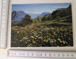 Postkarte Gewaltfreie Aktion gegen Atomkraftwerke,1987, Rigi