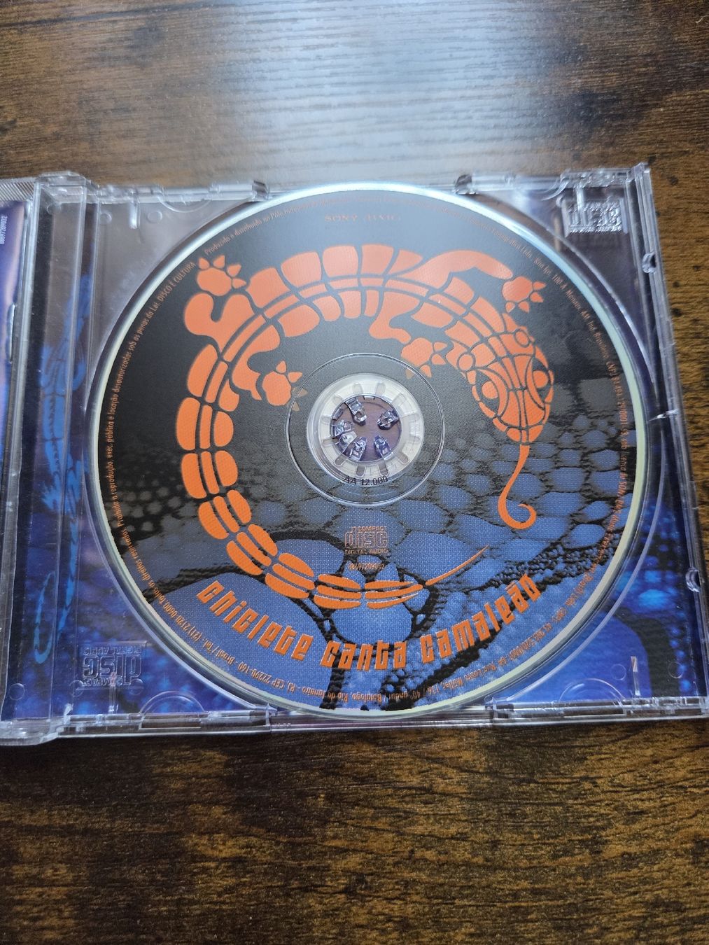 CD: Chiclete Canta Camaleao CD used condition – Usato da Winterthur venduto da Maricels_Boutique 3