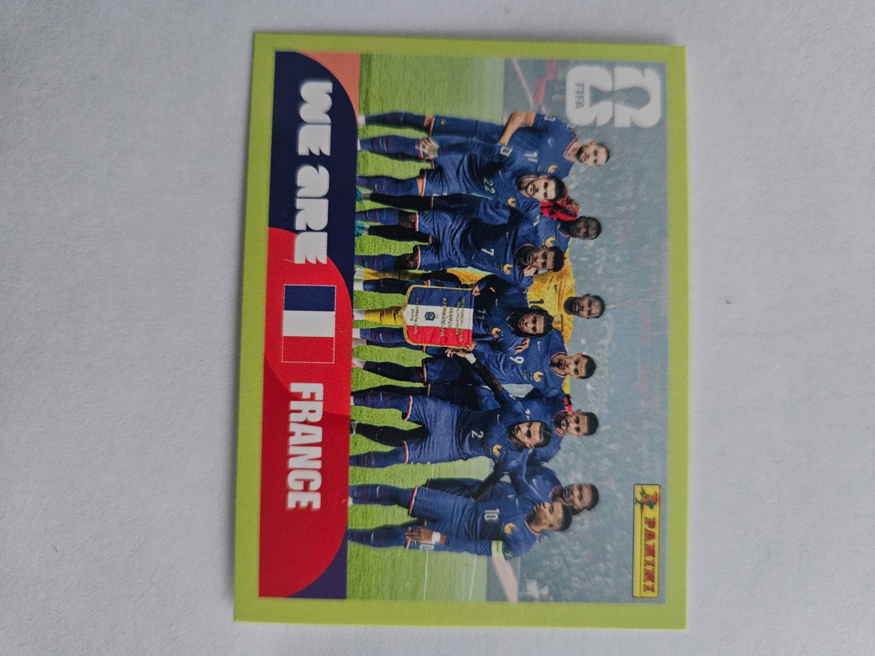 Panini Cartes à collectionner: FRA 13 – D'occasion à Würenlingen par Dinli