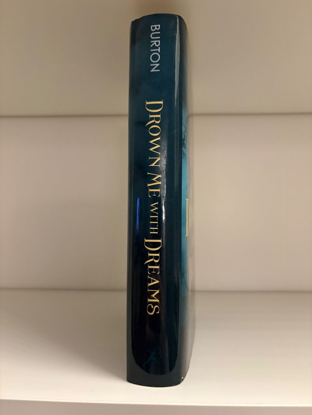 Libri: Drown Me with Dreams - Gaby Burton – Nuovo (secondo la descrizione) da Steffisburg venduto da elsa.catalina 2