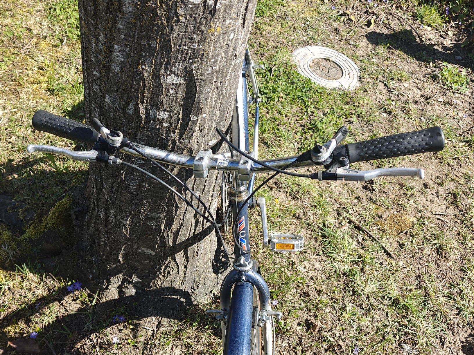 Biciclette: Velo Coronado vintage MTB – Usato da Sempach venduto da sam_z6d2 6