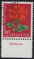 20 Rp. Geranium mit TAB (Géranium)