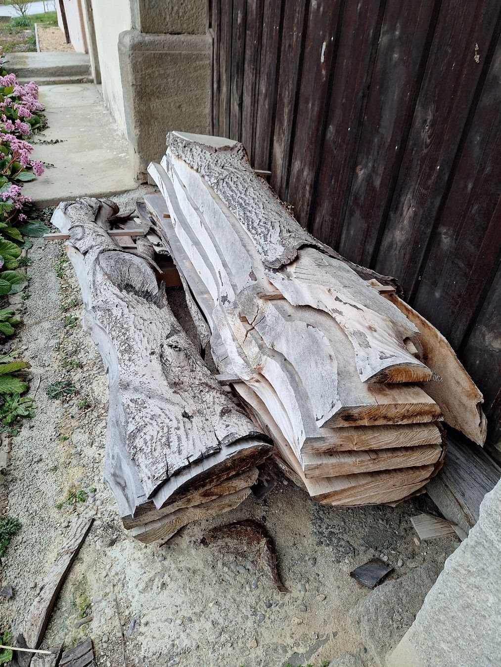 Articoli in legno: planche de noyer – Nuovo (secondo la descrizione) da Bussy FR venduto da 023 5