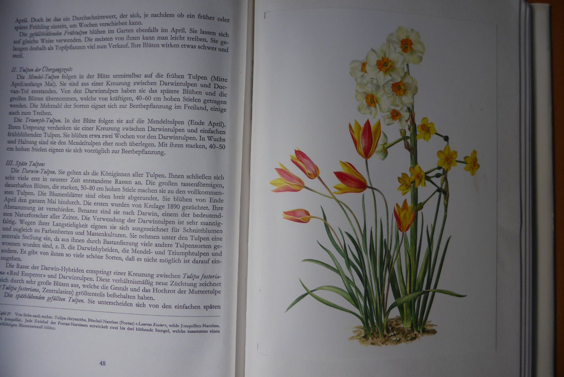 Libri: Wunderwelt der Gartenblumen – Usato da Brunnadern venduto da lesezirkel 3