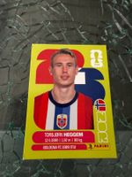WM 2026 - Panini - Torbjorn Heggem - NOR 8