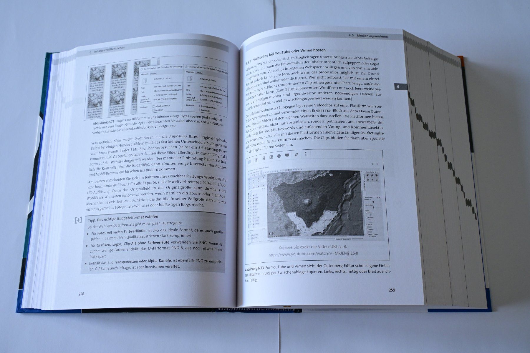 Libri: WordPress 5 Das umfassende Handbuch – Nuovo (secondo la descrizione) da Scherz venduto da Neogeo5000 3