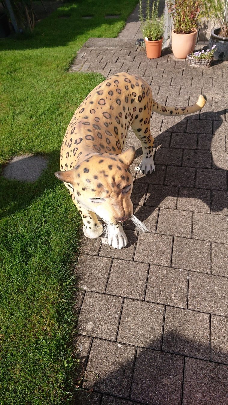 Sculture & Statue: Leopard / Gepard Skulptur – Usato da Uznach venduto da bullrot313