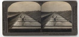 Stereo-Fotografie Keystone View Co., Mea