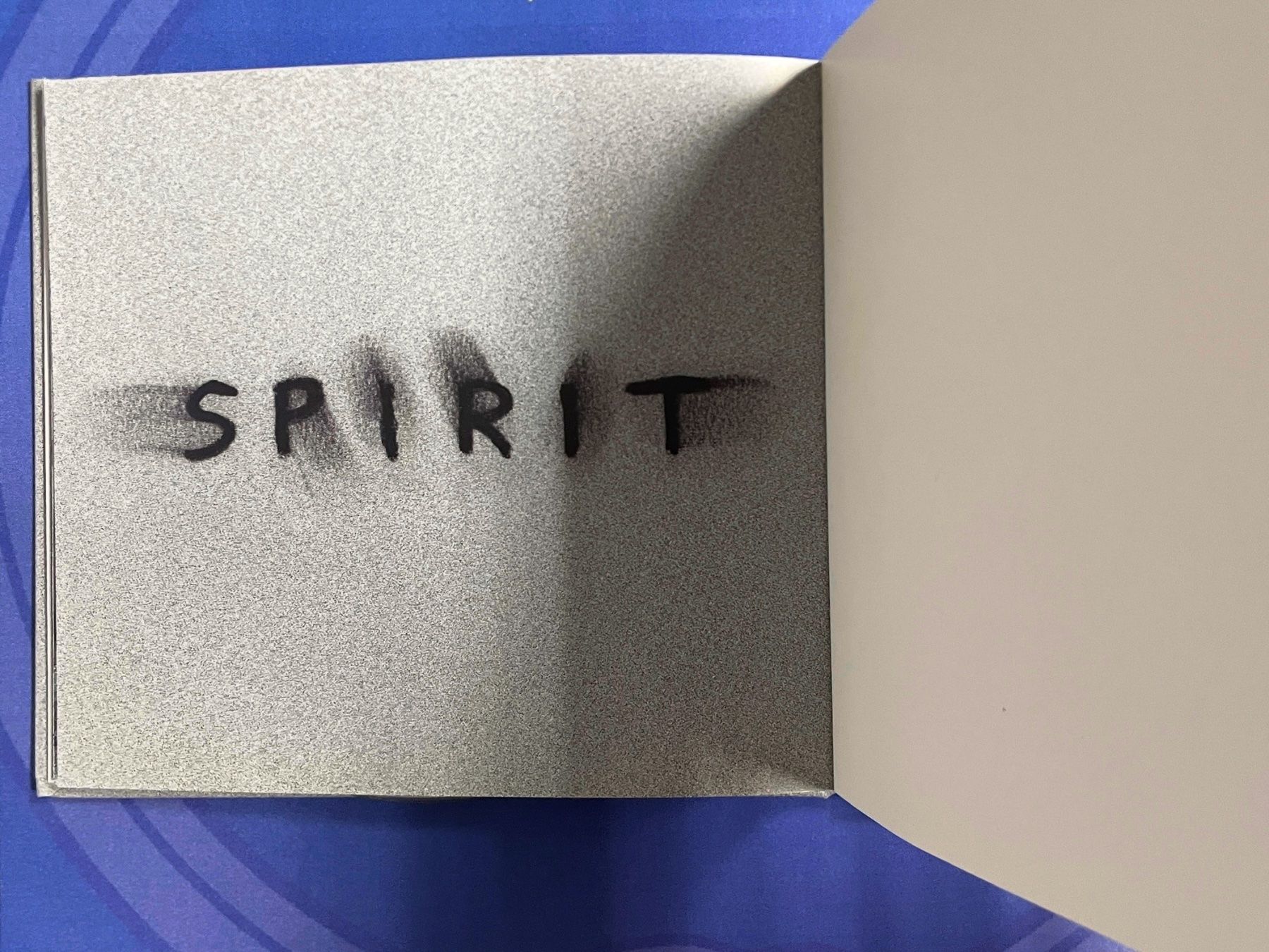 CD: Depeche Mode - Spirit Deluxe - Synth-Pop – Usato da Muri b. Bern venduto da AdidasCollector 6