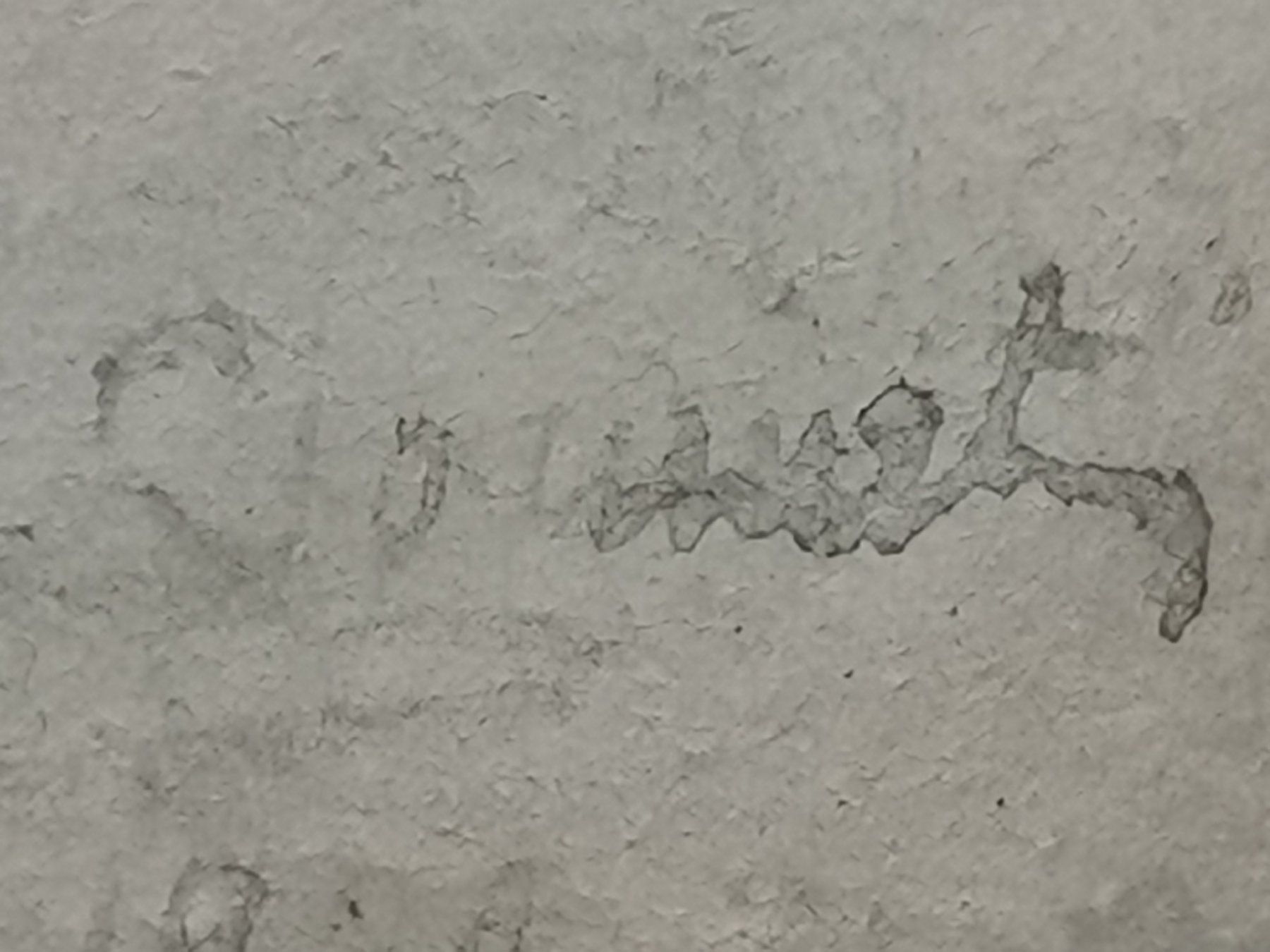 Dipinti: TABLEAU SIGNATURE ILLISIBLE? – Usato da Genève venduto da Qanil77 5