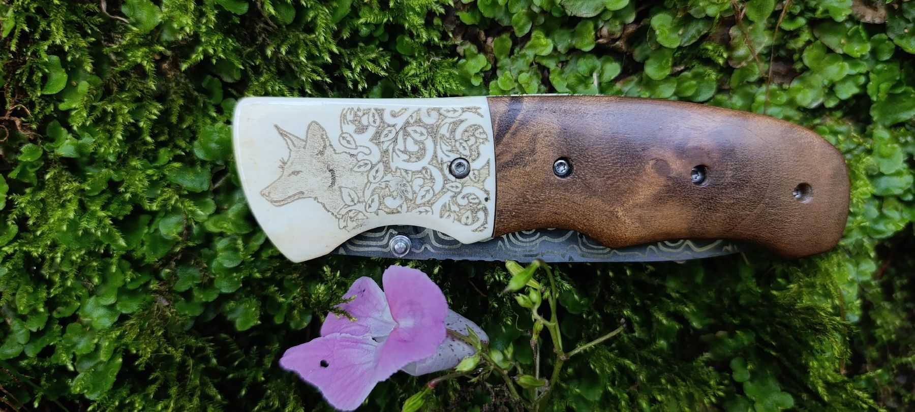 Taschenmesser: American Mint Taschenmesser  – Gebraucht aus Oppligen von can_rf8g 5