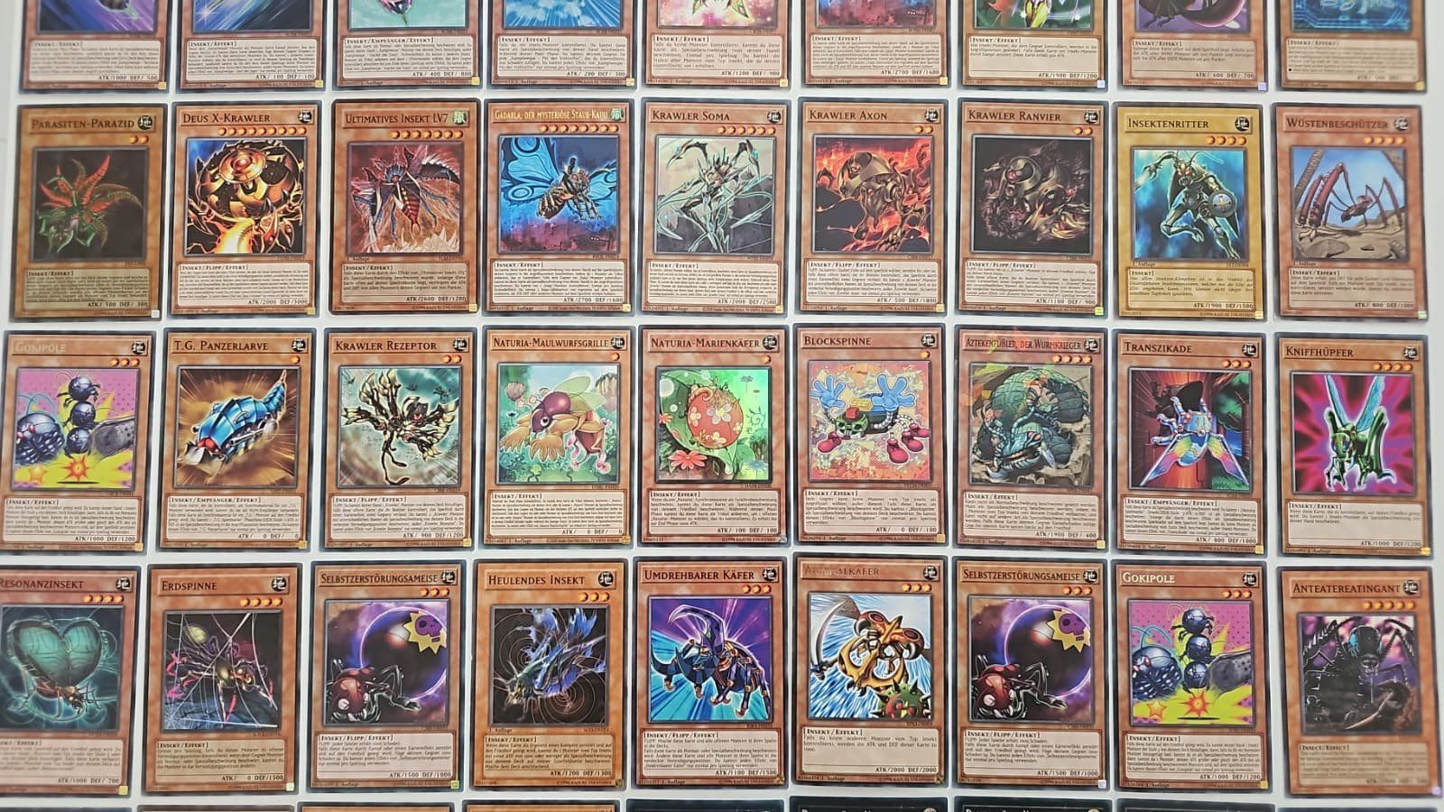 Yugioh Carte collezionabili: Yugioh Riesige Insekten Sammlung – Nuovo (secondo la descrizione) da Chur venduto da -NewERA- 2