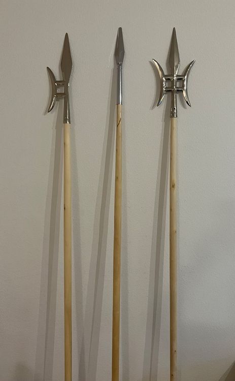 Speer Kaufen auf Ricardo