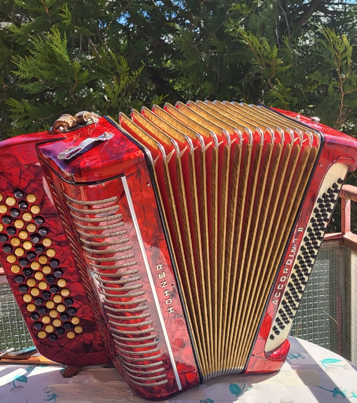 Hohner Strumenti musicali: accordéon hohner Accordina II – Usato da Penthalaz venduto da EvandroLuz 2