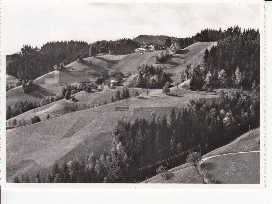 Cartoline postali: Moosegg ca. 1955 – Usato da Bürglen TG venduto da StampGraf
