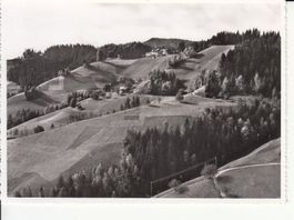 Moosegg ca. 1955