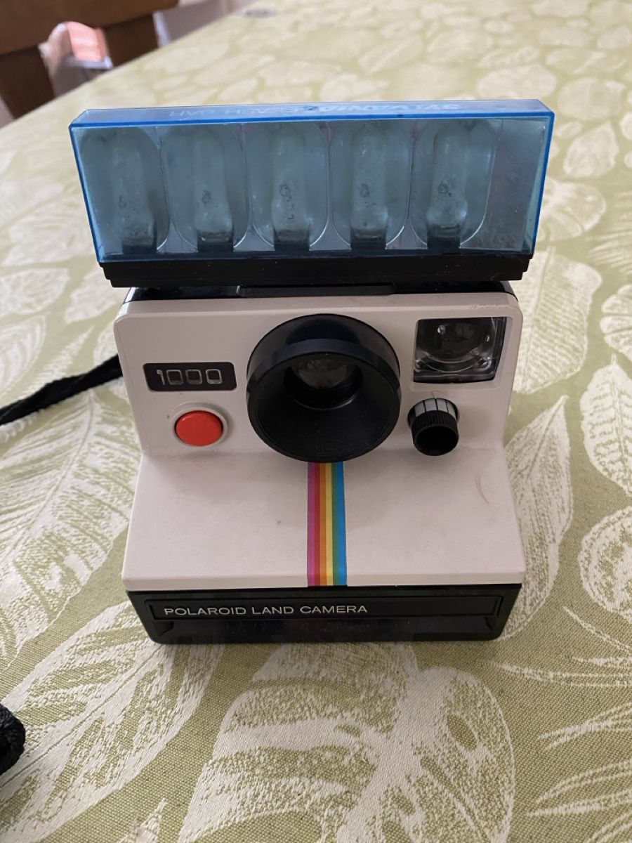 Polaroid Fotocamera: Polaroid Land Camera 1000 – Usato da Mezzovico venduto da AnGy-AnGy