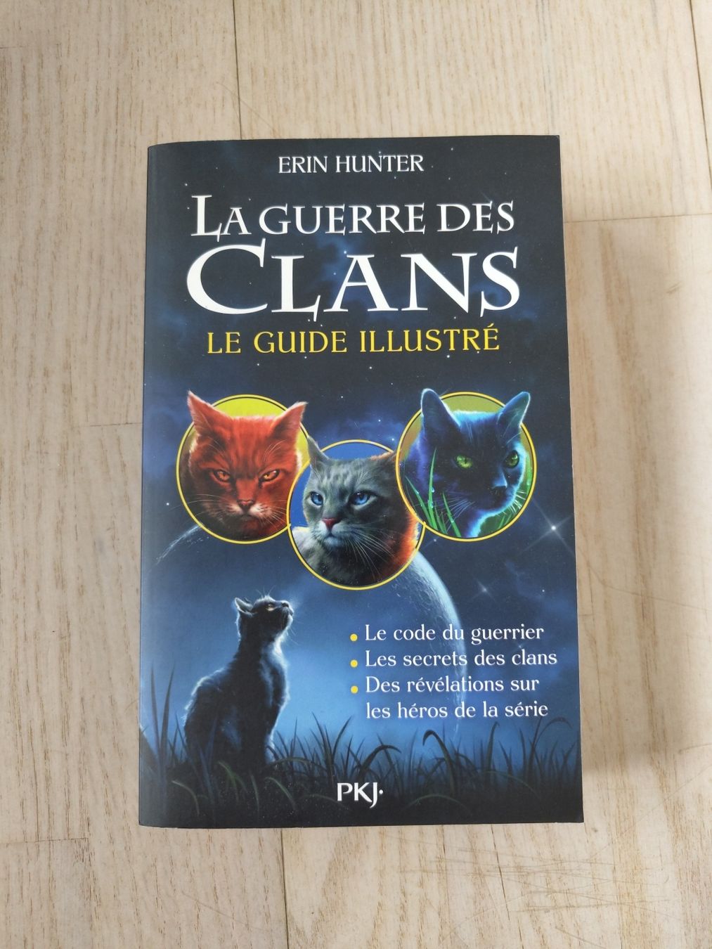 Libri: La Guerre des Clans, Guide illustré – Usato da Bulle venduto da nin_9ght