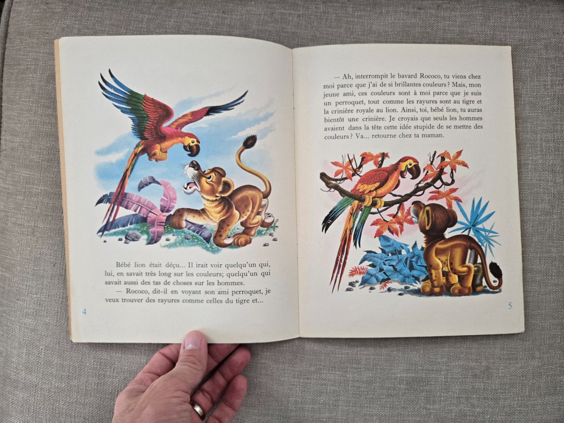 Libri: Histoire d'un bébé lion – Usato da Crémines venduto da Blakedrake 5