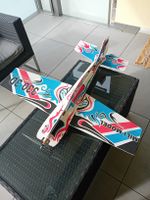 SLOW ACROBAT FYER