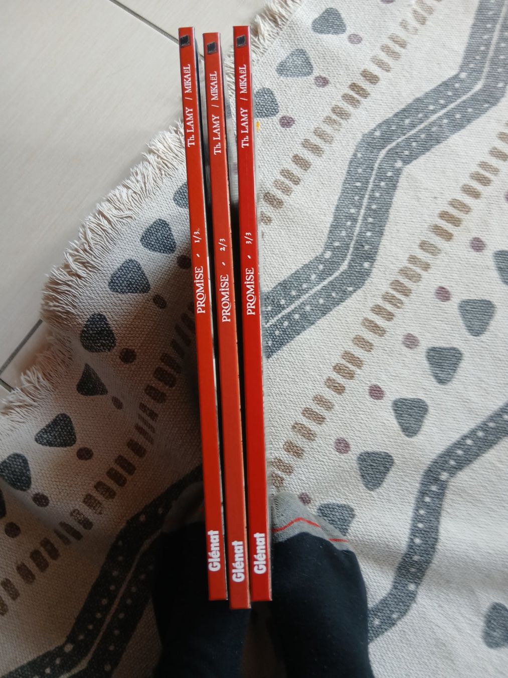 Fumetti: PROMISE TTBE EO  HISTOIRE COMPLETE – Usato da Puidoux venduto da Efango 1