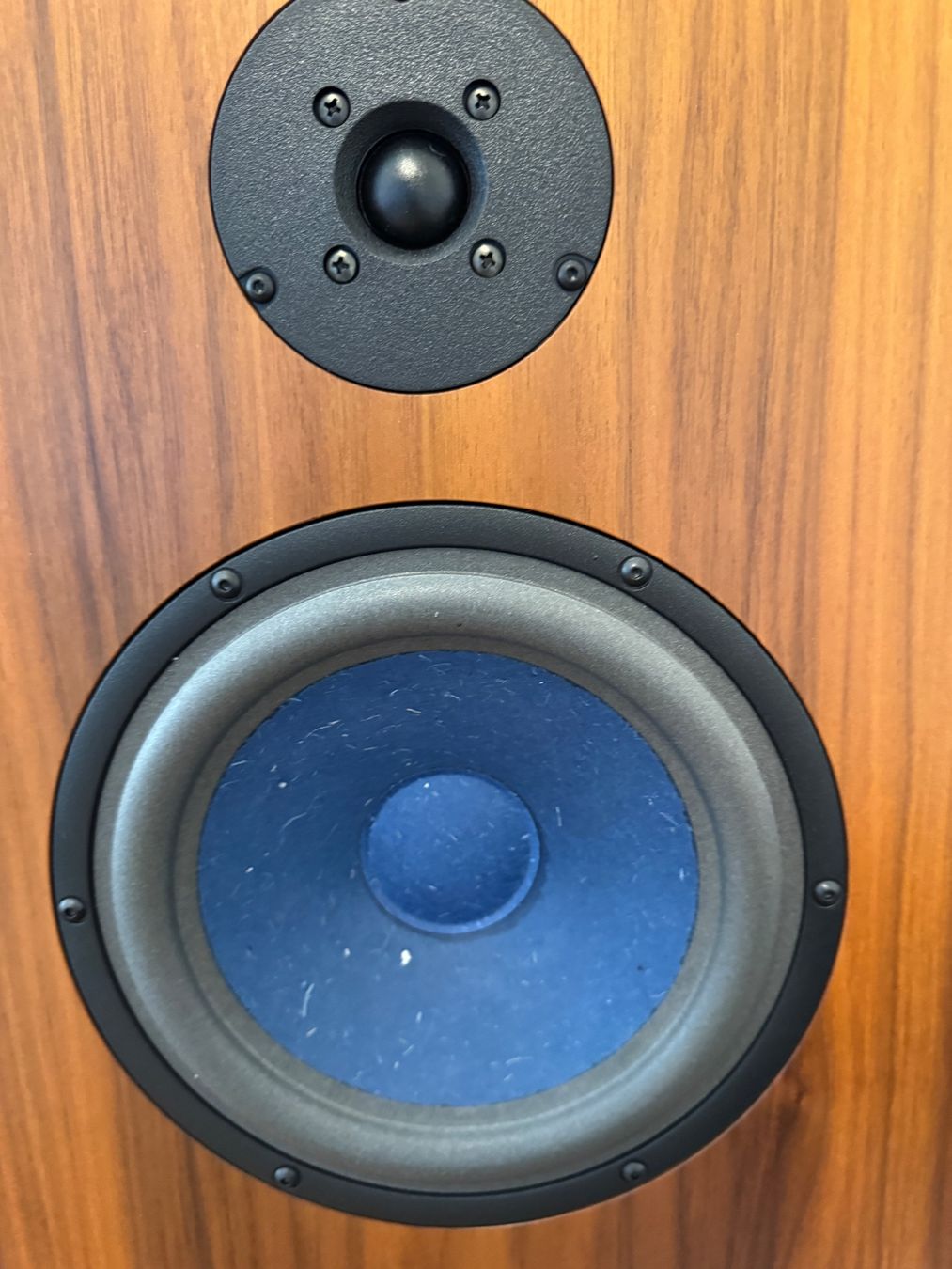 Audio Note Lautsprecher: Audio Note AN/E Hemp LX – Gebraucht aus Beinwil am See von Bergbilder 3