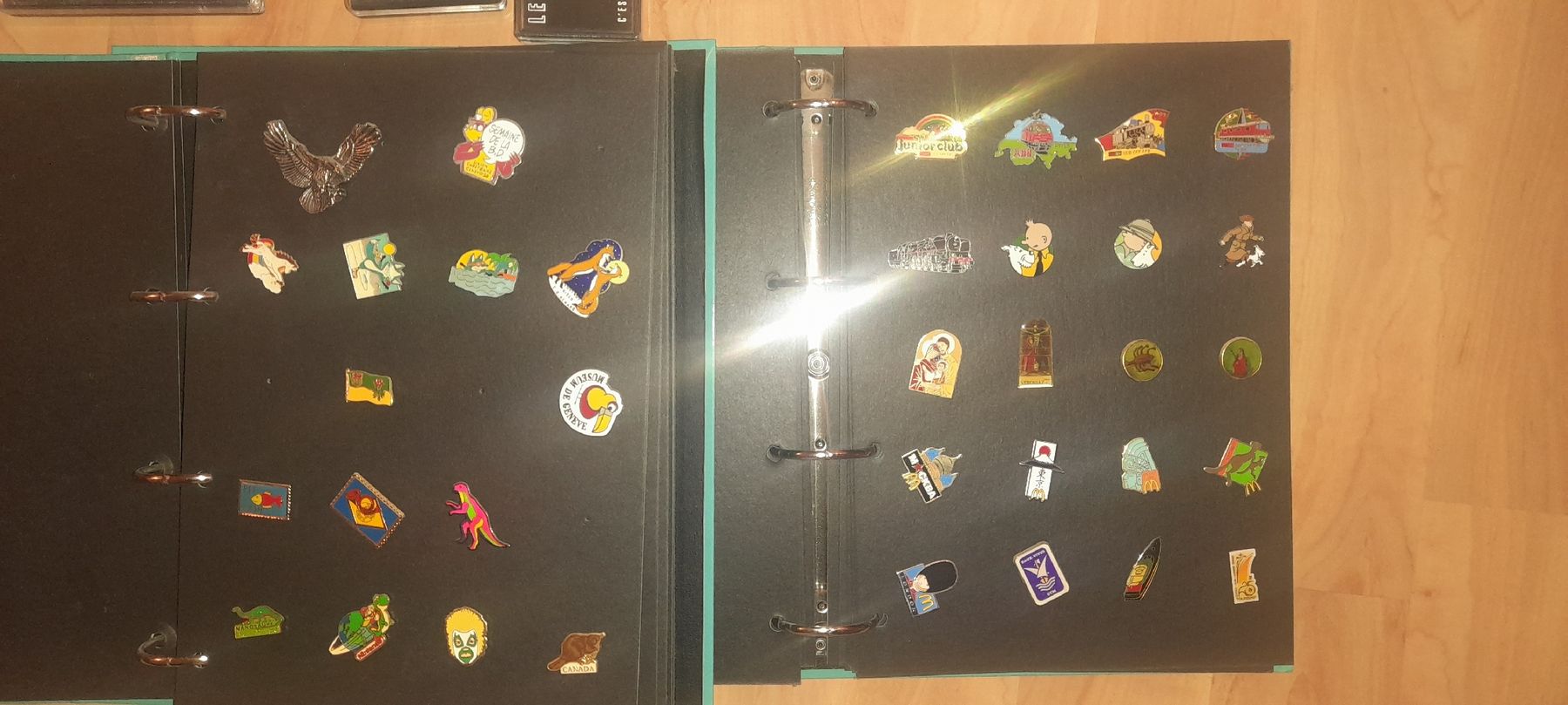 Placchette & Badge: Collection de Pin's divers - Classeurs inclus – Usato da Gals venduto da Ben-j 7