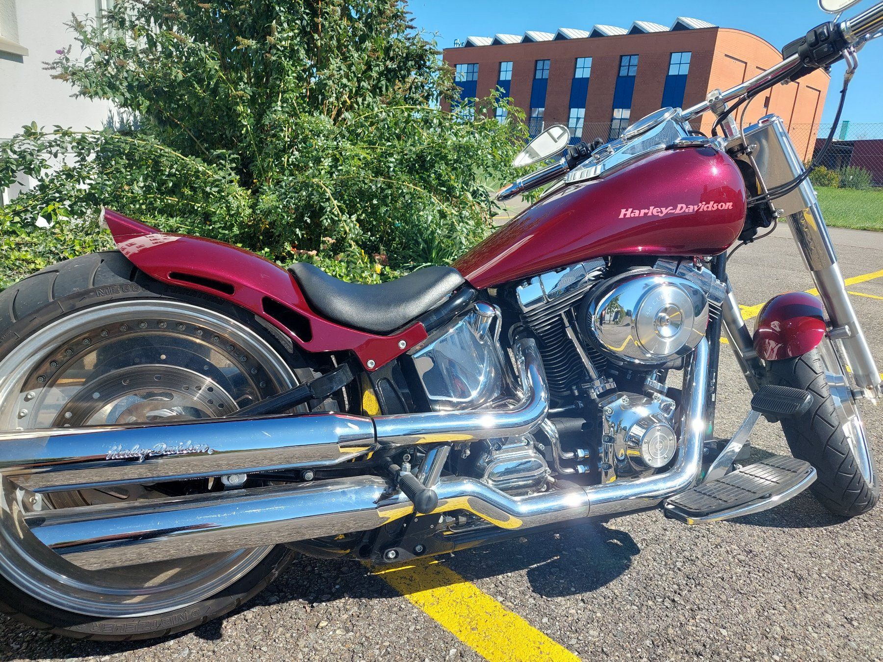 Chopper: Harleiy Davidson FLSTF – Usato da Altnau venduto da wahet 4