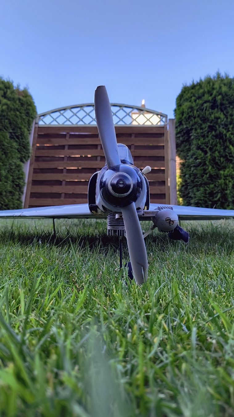 RC Modellbau: F-4D Phantom II für Bastler – Gebraucht aus Romanshorn von Warthogwarthog 4