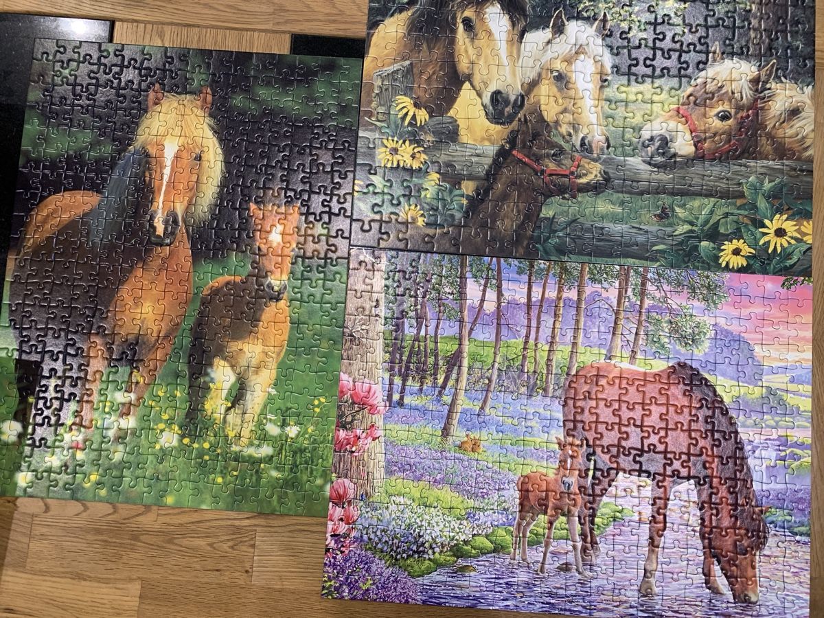 Ravensburger Puzzles: Ravensburger Puzzle Lot de 3 . – Neu (gemäss Beschreibung) aus Prilly von Sissi_1009 3