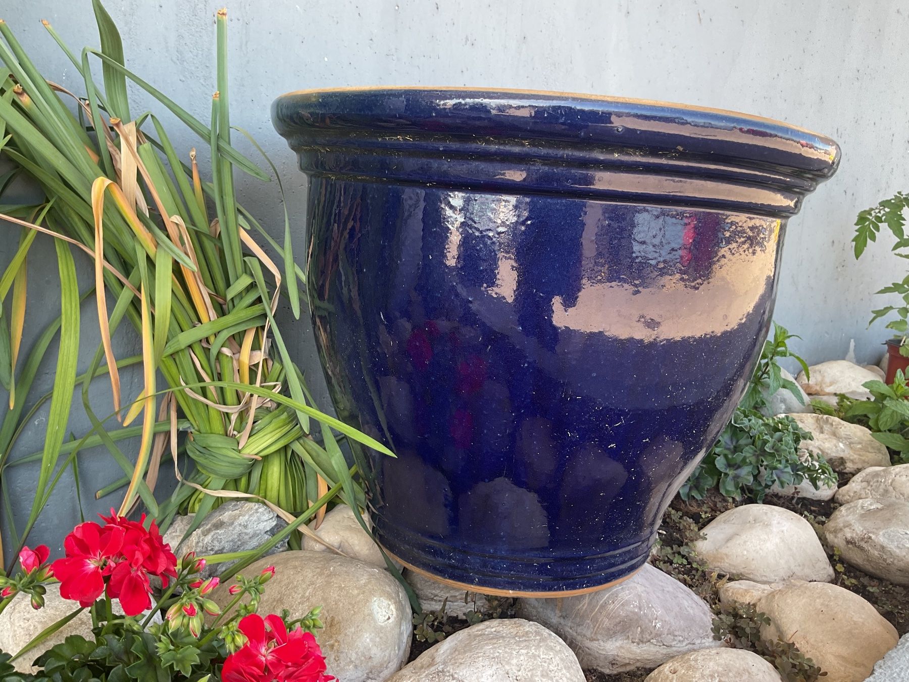Vasi per fiori: Pot de fleurs en terracotta émaillée – Usato da Neuchâtel venduto da sta_7qfy 1