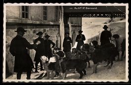 AK Grand-Saint-Bernard, Chiens Saint-Bernard et hommes devan