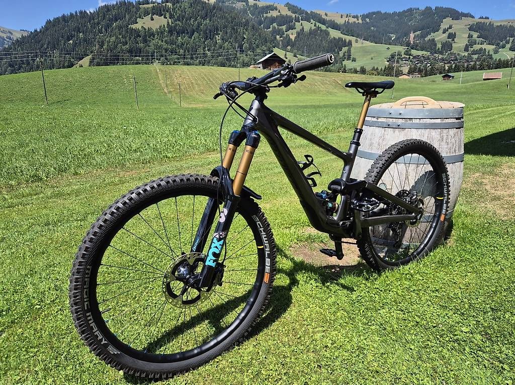 Specialized Velos: Specialized Enduro Custom, Top Bike – Gebraucht aus Gstaad von rha_2xfh 1