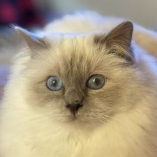 Profile image of Mr2joe