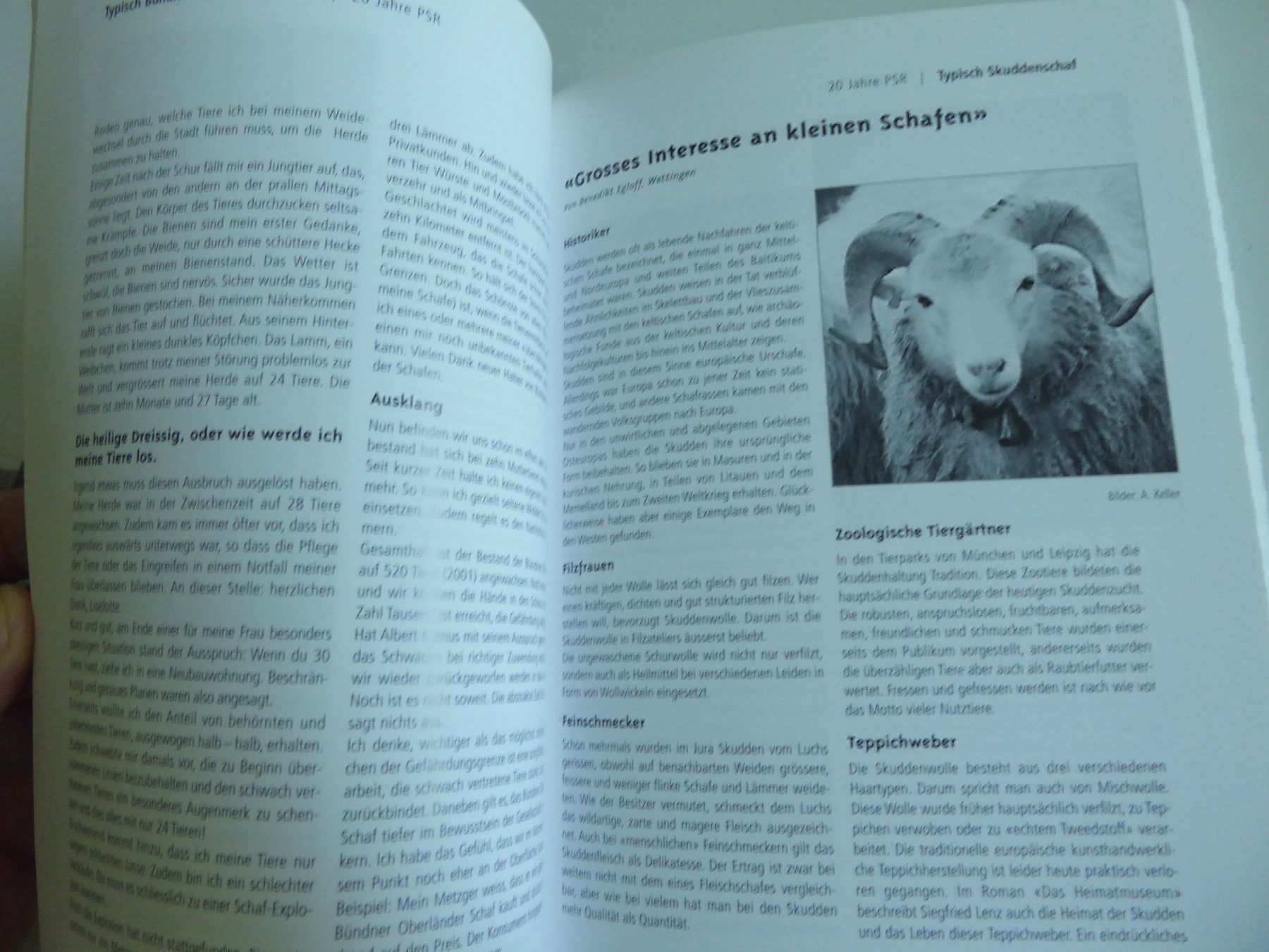 Libri: Tschüpperli, Stiefelgeiss und andere – Usato da Zürich venduto da Chaeffeler 1