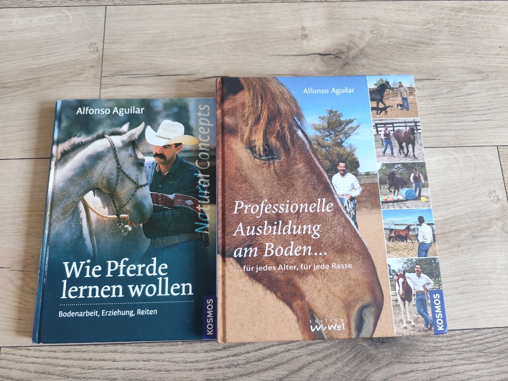 Libri: Pferde Bücher – Usato da Hellbühl venduto da 30R_R30